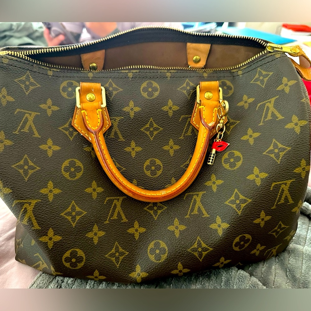 LV speedy handbag